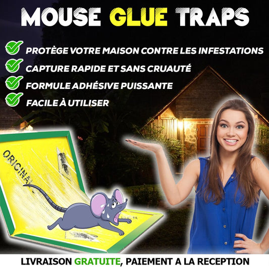 Pack de 3 pièces : Piège à Souris Adhésif Non Toxique